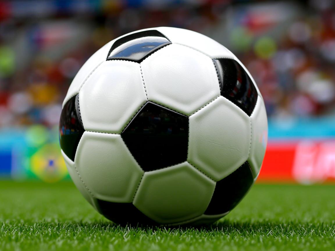 米兰体育app-意大利射箭选手稳定发挥 获得金牌  第3张