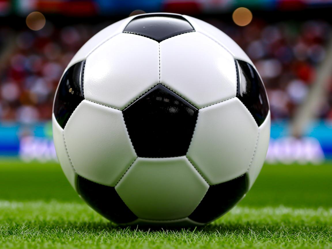 ac米兰官网首页-个人混合泳技术衔接成升级重点，个人混合泳项目