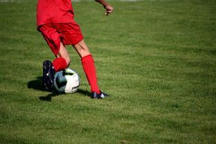 米兰体育网址-冬奥场馆智能系统协助运动员热身训练，冬奥会设备